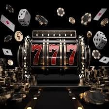 d333bet d333bet